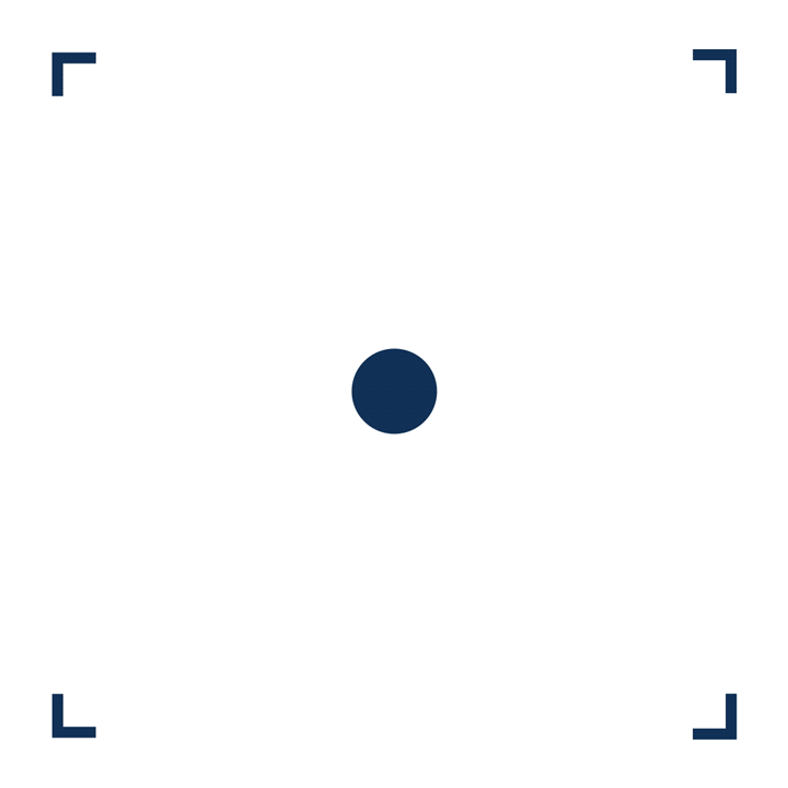 Wirevision animerad logotyp